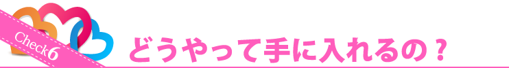 Check6 どうやって手に入れるの？